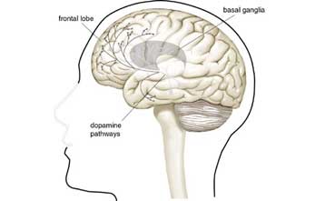 Ανακοινώθηκαν οι νικητές του βραβείου Νόμπελ Ιατρικής για το 2000