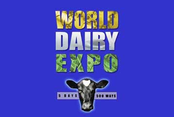 Πλειστηριασμός για κλωνοποιημένη αγελάδα