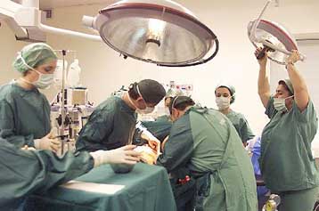 Την τελευταία θέση κατέχει η Ελλάδα σε δότες οργάνων στην Ευρώπη