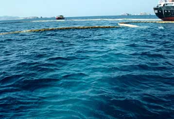 Εγκρίθηκε το ψήφισμα για το Σάμινα από το Ευρωκοινοβούλιο