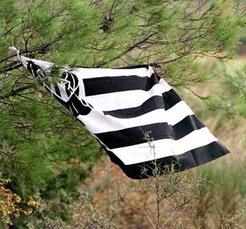 Ανακοίνωση – απάντηση της ΠΑΕ ΠΑΟΚ στην κατηγορία για ψευδή ισολογισμό του Μπατατούδη