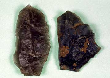 Η προϊστορία της ΝΑ Ευρώπης στο αμφιθέατρο του Εθνικού Ιδρύματος Ερευνών