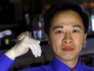 Ερευνητές ανακαλύπτουν γονίδιο υπεύθυνο για την καύση ενέργειας στον οργανισμό