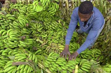Στο παρά πέντε αποφεύχθηκε ο εμπορικός πόλεμος ΗΠΑ – ΕΕ