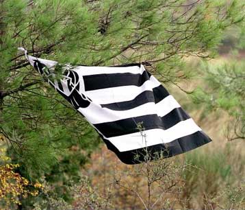 Είδε την Ουντινέζε ο Μπάγεβιτς