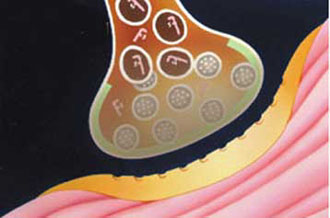 Αντιρυτιδική θεραπεία με νευροτοξίνες καταπολεμά αποτελεσματικά και τις κεφαλαλγίες