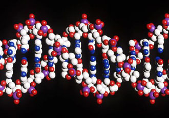 Η χρήση των γενετικών πληροφοριών γεννά νέα ηθικά ερωτήματα στους Βρετανούς