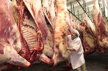 Δεν κατέληξε σε συμφωνία η Κτηνιατρική Επιτροπή της ΕΕ για την απαγόρευση των κρεατάλευρων στις ζωοτ