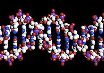 «Όχι» της Αρχής Προστασίας Προσωπικών Δεδομένων στην εξέταση DNA από τις ασφαλιστικές εταιρείες
