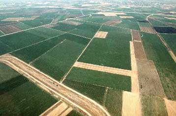 Επεξεργασμένα λύματα από την Ψυττάλεια θα χρησιμοποιούνται για άρδευση