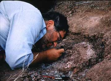 H ζωή στη στεριά εμφανίστηκε πολύ πιο νωρίς από ό,τι πιστευόταν έως τώρα