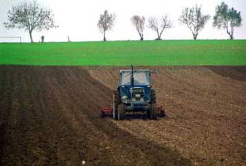 Φρένο στη δόμηση καλλιεργήσιμης γης βάζει το ΣτΕ