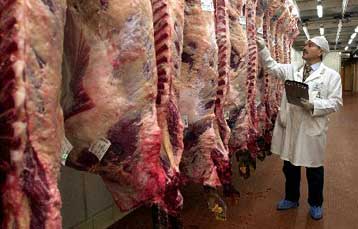 Και στη Γερμανία «τρελές αγελάδες» – Υπέρ της απαγόρευσης των κρεατάλευρων ο Σρέντερ