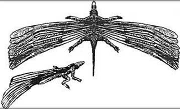 Πετάει ο Longisquama insignis;<I>– Πετάει! – Δεν πετάει!</I>