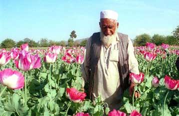 Κέντρο διακίνησης ναρκωτικών παραμένει η Τουρκία επισημαίνει η Κομισιόν