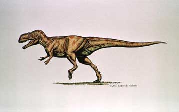 Οι σαρκοβόροι δεινόσαυροι κυνηγούσαν σε αγέλες, υποστηρίζει παλαιοντολόγος