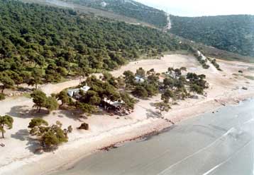 Συνάντηση μελών της ΔΟΕ με εκπροσώπους οικολογικών οργανώσεων