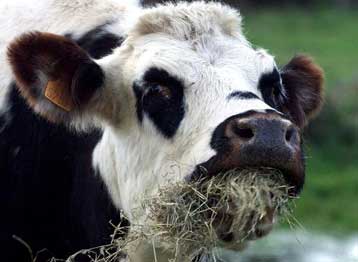 Nέα μέθοδος διάγνωσης της Κρόιτσφελντ – Γιάκομπ στον ορίζοντα