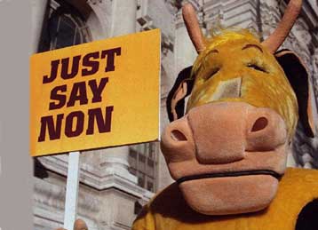 Οι Βρυξέλλες αποφαίνονται για τις «τρελές αγελάδες»<i>Πιθανά επιπλέον μέτρα εξετάζει η Ελλάδα</i