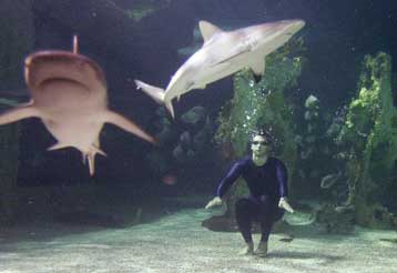 «Χορεύοντας» με τους καρχαρίες<I>Ο Ίαν Θορπ έκανε το όνειρό του πραγματικότητα</I>