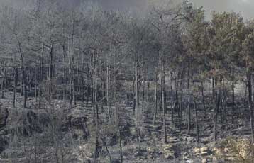 Νέα φωτιά σε εξέλιξη στη Σάμο