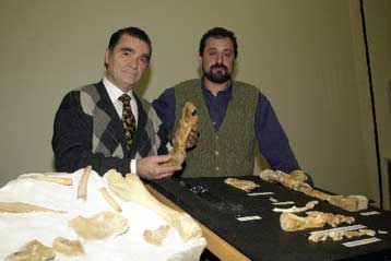 Ανακαλύφθηκε νέο είδος δεινόσαυρου στην Ιταλία