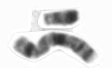 Οι δέκα «πατέρες» των Ευρωπαίων ανδρών