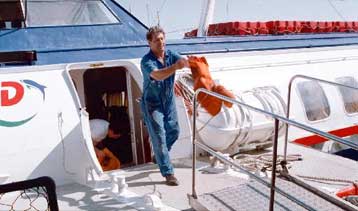 Εισαγγελική παρέμβαση για τα ιπτάμενα δελφίνια που ταξίδευαν με ρήγματα