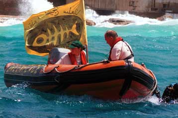 Αθώοι οι 12 ακτιβιστές της Greenpeace για την υπόθεση της Λάρκο στον Ευβοϊκό