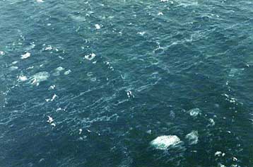 Μέτρα για την ενδεχόμενη διαρροή τοξικών από το Ievoli Sun λαμβάνει η ΕΕ