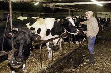 Η Ρωσία απαγόρευσε τις εισαγωγές βοδινού κρέατος από τη Γαλλία