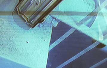 Υποψίες για αλλοίωση των οργάνων του Σάμινα από ανθρώπινο χέρι