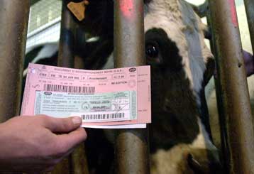 Ξεπερνά τα σύνορα της Γαλλίας η υπόθεση με το μολυσμένο βοδινό κρέας