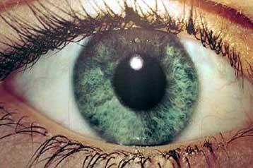 Εντοπίστηκε γονίδιο που προκαλεί νυκταλωπία και μυωπία