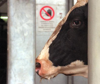 Κοινοτικά τα μέτρα για τις «τρελές αγελάδες», δηλώνει ο Ρέππας