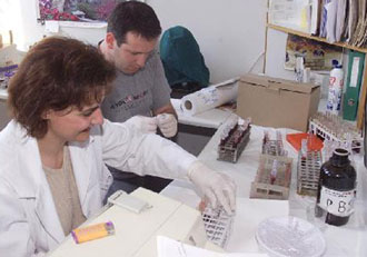 Έρευνες ρίχνουν φως στο μυστήριο της λευχαιμίας