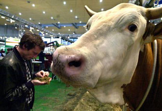 «Όχι» της Ευρωπαϊκής Επιτροπής στη χρήση ζωικών αλεύρων