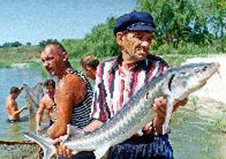 Απειλείται με εξαφάνιση ο οξύρρυγχος