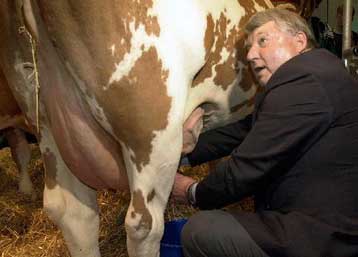 Η Γερμανία παραδέχεται ότι δεν έλαβε εγκαίρως μέτρα για τις «τρελές αγελάδες»