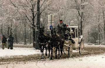 Χριστουγεννιάτικο χάος στην Ευρώπη από τις σφοδρές χιονοπτώσεις