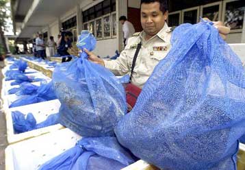 Σε κατάσχεση χιλιάδων… φιδιών προχώρησαν οι Αρχές της Ταϊλάνδης