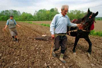Ελληνόφωνες κοινότητες της Κάτω Ιταλίας μέρος «γενετικού πάρκου» για τη μελέτη ασθενειών