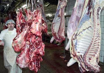 Σε συναγερμό και η Ολλανδία για το μολυσμένο βοδινό από τη Γερμανία