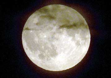 Επηρεάζει τα σκυλιά η πανσέληνος; – Αντιφατικά τα συμπεράσματα ανεξάρτητων ερευνών