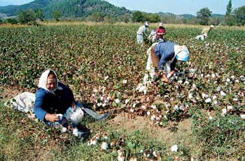 Προχωρεί το πρόγραμμα πρόωρης συνταξιοδότησης των αγροτών