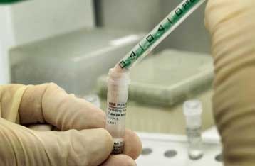 Επιστήμονες «αναγκάζουν» τον εγκέφαλο πειραματόζωων να αυτοεπιδιορθωθεί