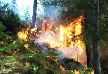 Δολοφονία αστυνομικού στο κέντρο της Βαρκελώνης – Οι υποψίες στρέφονται στην ΕΤΑ
