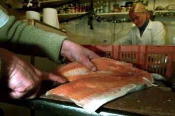 Μετά το «τρελό» μοσχάρι, και… ύποπτα ψάρια απειλούν την Ευρώπη