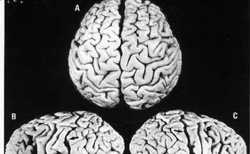 H ζωή μετά τα 40 μπαίνει σε αργό ρυθμό