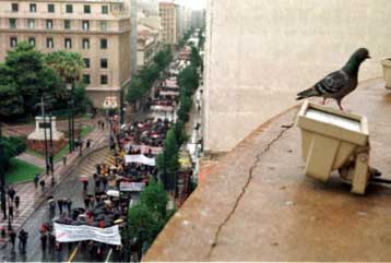 Αντιρατσιστικό συλλαλητήριο στις 6 μ.μ. στα Προπύλαια